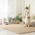 Robot Vacuum and mop combo RS2 with dog