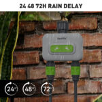 Rainpoint 2 zone irrigation in rain