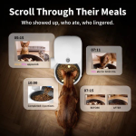PETKIT YUMSHARE Solo 2 automatic cat feeder with scheduled meals and adjustable portions
