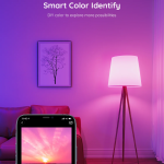 Govee RGBWW smart LED bulb controlled through the Govee Home app