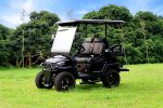 EVG Lux Premium Electric Golf Cart | 2-Seater or 4-Seater - Image 2