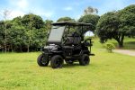 EVG Lux Premium Electric Golf Cart | 2-Seater or 4-Seater - Image 3