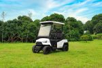 EVG Lux Premium Electric Golf Cart | 2-Seater or 4-Seater - Image 6