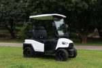 EVG Lux Premium Electric Golf Cart | 2-Seater or 4-Seater - Image 7
