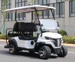 EVG Tivus 4-Seater Lithium-Ion Electric Golf Cart - Image 2